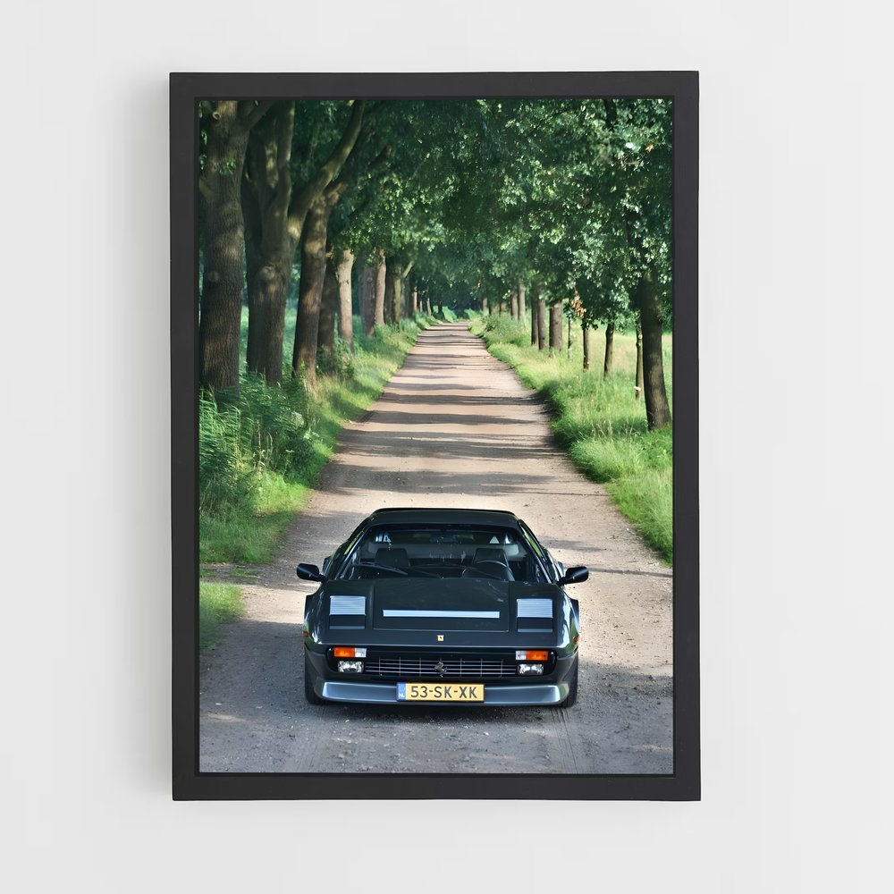Poster Route de la Ferrari (vue 2)